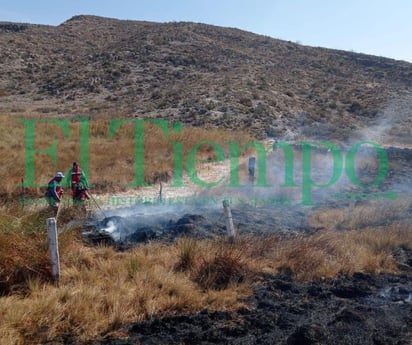 Incendio forestal moviliza a Bomberos de Cuatro Ciénegas