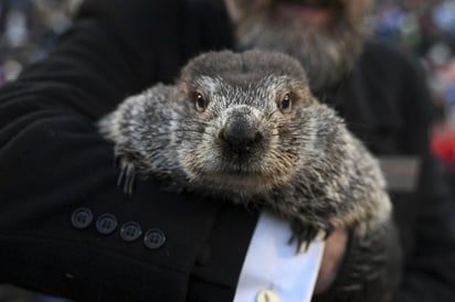 Día de la Marmota: Esta es la predicción de Phil sobre el invierno 2023