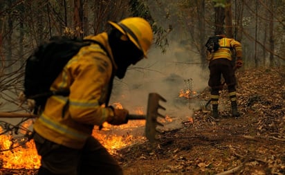 Chile pide ayuda a México, Brasil, Argentina, Uruguay y España por incendios