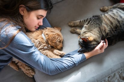 Esto dice la ciencia sobre dormir con tu mascota 