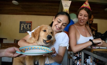 'El perrazo': un restaurante para lomitos y 'amigable con los humanos'