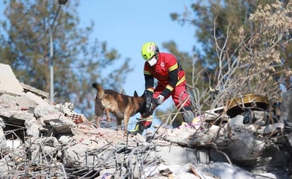 Así laboran los binomios caninos mexicanos en Turquía, tras devastador terremoto