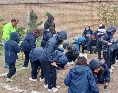 Estudiantes chicos y grandes al cuidado de la naturaleza