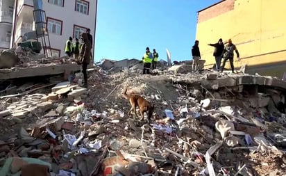 ¿Cuántos rescates ha logrado México en Turquía tras el terremoto?