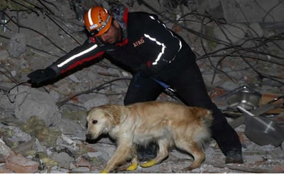 Lastimado y cortado de sus patitas, Kopuk rescata 5 personas de los escombros en Turquía