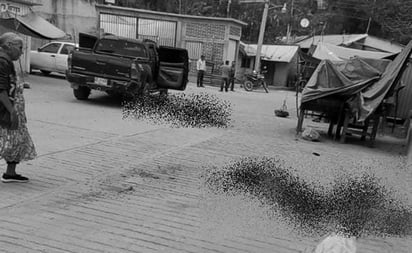 Enfrentamiento deja al menos 5 personas asesinadas frente al palacio municipal de Amoltepec, Oaxaca