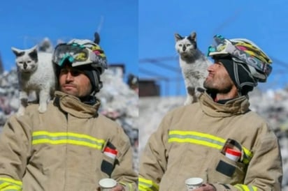 ¿Los mejores amigos? Enkaz, gatito rescatado en Turquía, tiene nuevo dueño: La historia del gatito que no se quiso separar de su rescatista en Turquía conmovió a miles de internautas