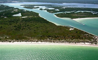 Denuncian contaminación con glifosato en biósfera y reserva de Río Lagartos, Yucatán