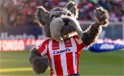 ¿Por qué es un perro? La noble causa detrás de la mascota del Atlético de San Luis: El Atlético de San Luis presentó su nueva mascota, un perro llamado Lucho, con una emotiva razón de ser