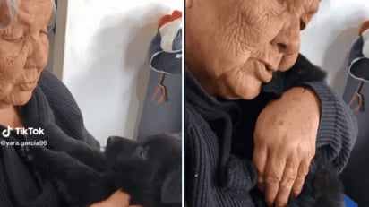 Abuelita regaña a su perrito por travieso y comienza a llorar: 'Es por tu bien 'Pancho'': El video publicado en TikTok generó más de 16 millones de reproducciones.