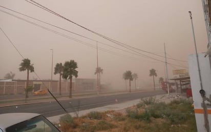 Fuerte racha de viento provocó daños en árboles de Monclova 