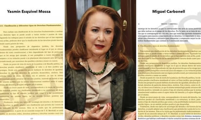 Nueva acusación contra Yasmín Esquivel; reportan plagio en su tesis doctoral