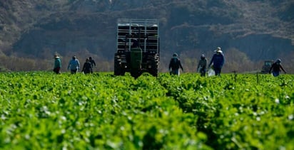 EU multa a agencia de California por retener pagos de campesinos con visa