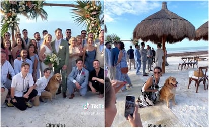 Invitan a perrito a una boda, pero no al dueño; video se hace viral en TikTok