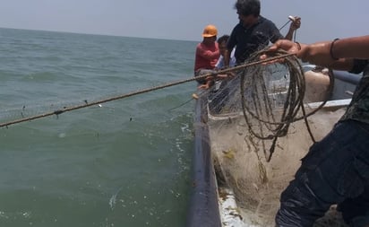 Amplían búsqueda de pescadores desaparecidos en el campo El Colorado, Sinaloa