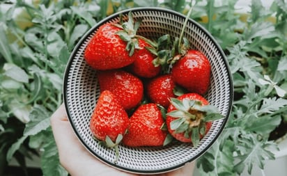 ¡El tallo de las fresas! Esto puedes hacer con ellos