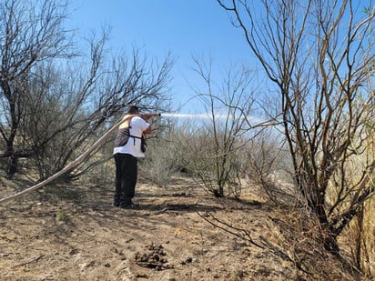 La PC, Conafor y Semarnat unidos por incendio en Ciénegas