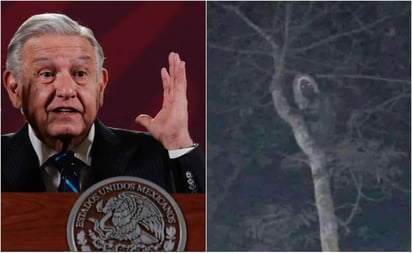 Twitter identifica foto de supuesto aluxe compartida por AMLO como fa