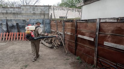 SSa continúa atento al trabajo para controlar y fumigar el dengue  