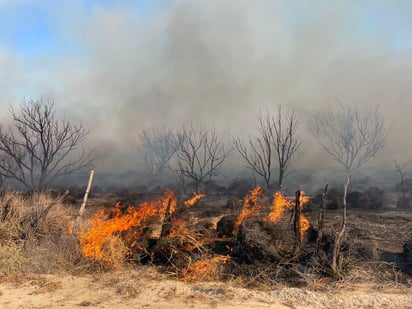 PC y Conafor combaten incendio en S. Gertrudis