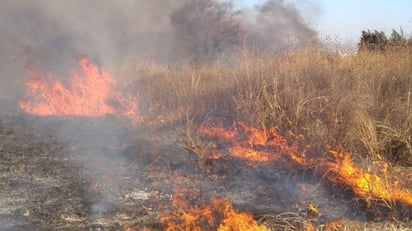 Bomberos atienden de 13 a 15 llamadas por al día por incendios 