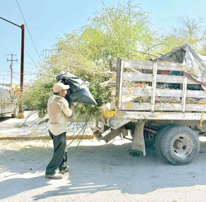 Forestación trabaja a marcha forzada ante la llegada de la primavera