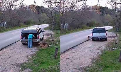 Hombre abandona a su perro en plena carretera de EU y desata críticas en redes sociales