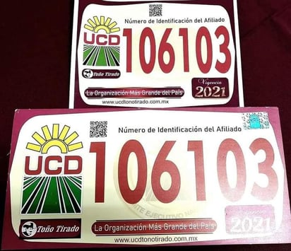 Placas para vehículos irregulares disminuye demanda en un 90% 