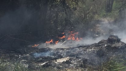 Las altas temperaturas ayudan a la expansión de incendios, además de la poca cultura ciudadana