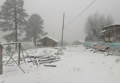 A días de la primavera, Durango se pinta de blanco con nevada en la sierra