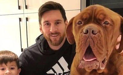 Estos son los lujos con los que vive ‘Hulk’ el perro de Leo Messi