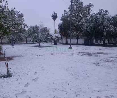 Monclova se pinta de blanco a escasos días de la primavera