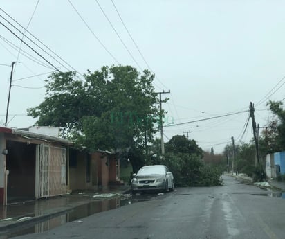 Estragos de la nevada en Monclova