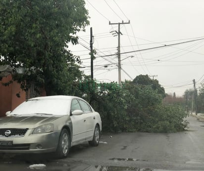 Bomberos de Monclova realizan operaciones para auxiliar a los ciudadanos vulnerables durante la nevada