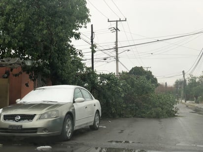 Nevada deja sin luz sectores de la ciudad, incluyendo a bomberos