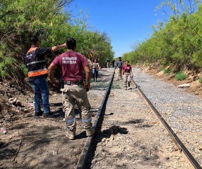 Oso se come lonches de trabajadores de Trinity