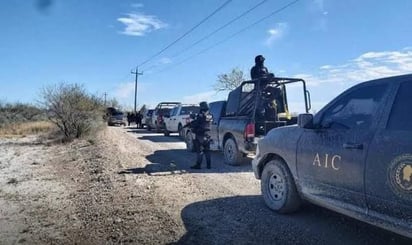 Arrestan a 14 halcones en la región norte del estado