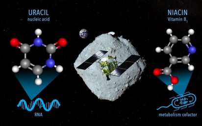 Somos polvo de estrellas: Hallan parte del ARN humano en asteoride