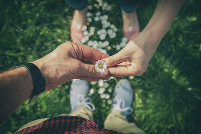 6 motivos de que la primavera aumente el deseo en pareja: La 'fiebre de primavera' es bastante real. En esta temporada las personas son más felices, hay más luz del sol.