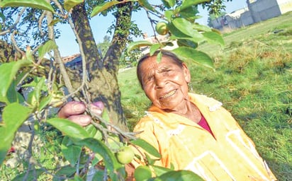 En México más de 6 millones de adultos mayores laboran 