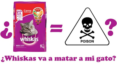 Alimento Whiskas dañino para los gatos ¿Qué consecuencia deja al consumirlo?