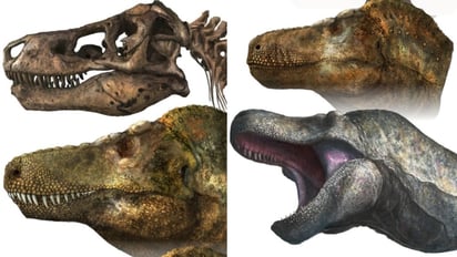 ¿Tenía Tyrannosaurus rex labios que escondían sus amenazadores dientes?