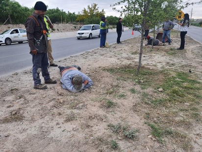 Dos trabajadores de imagen urbana resultan lesionados 