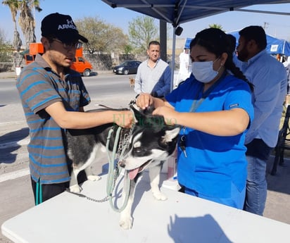 Trabajadores de la SSa son vacunados contra la rabia por temporada 