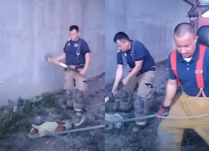 Bomberos 'mata perros' fueron despedidos; la FGE ya investiga