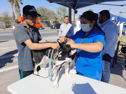 La SSa vacuna a sus trabajadores contra rabia por temporada de calor