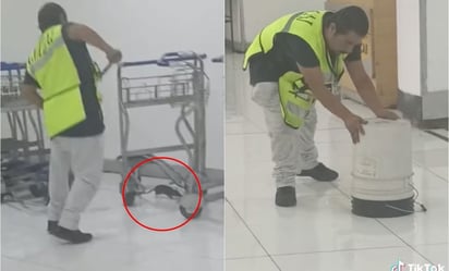 VIDEO: Rata desata pánico entre turistas del AICM y se viraliza en TikTok: Por medio de redes sociales, una usuaria compartió videos sobre la terrorífica experiencia en el aeropuerto