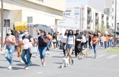 ASOCIACIONES DEFENSORAS DE ANIMALES PROTESTARÁN POR MUERTE DE PERROS EN MONCLOVA