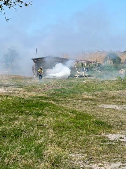 Departamento de vectores trabaja contra el dengue y rickettsiosis 