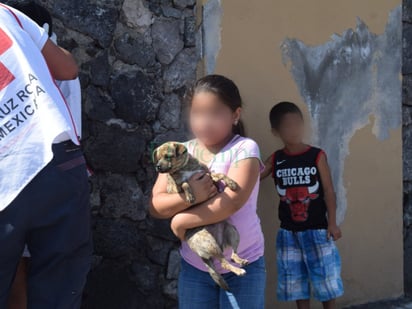 Seis personas y una perrita heridas tras choque en El Pueblo